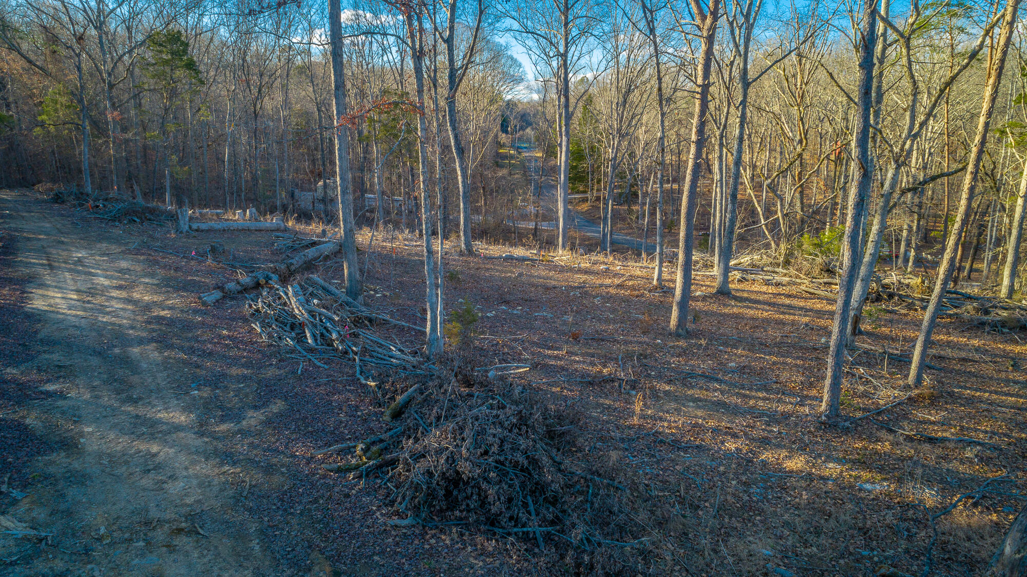 Beach Road #433, Spring City, Tennessee image 29