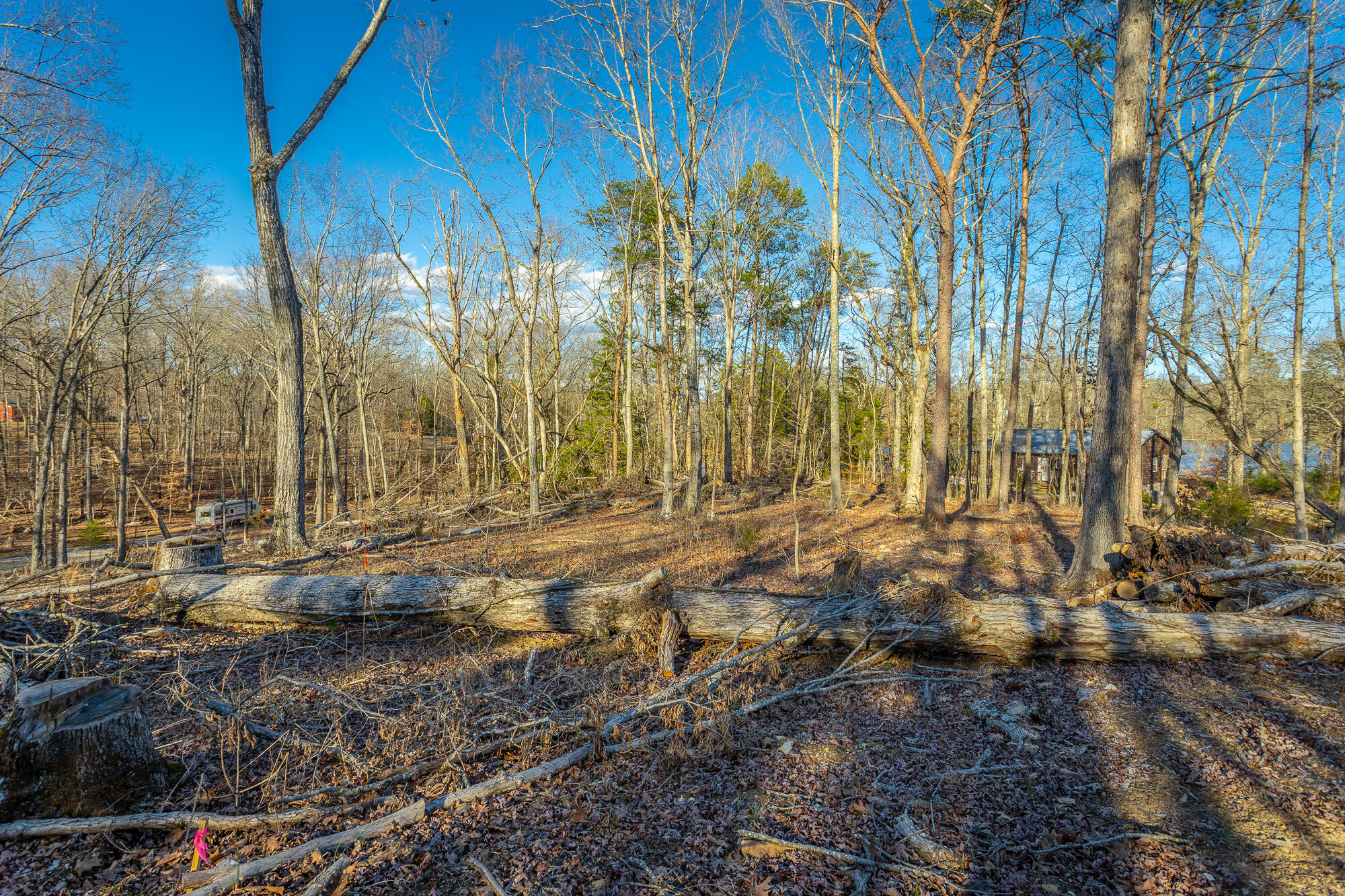 Beach Road #433, Spring City, Tennessee image 36