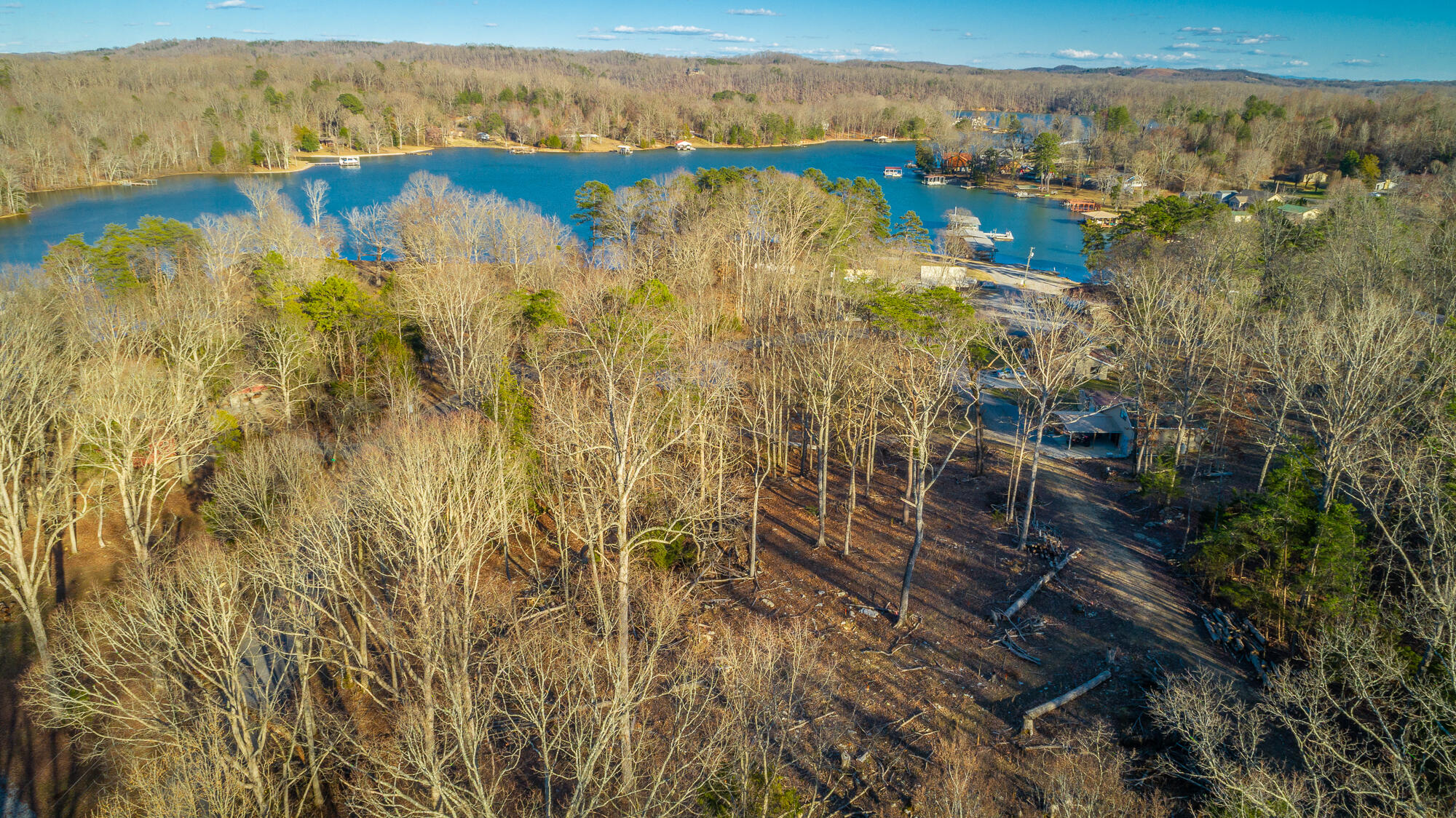 Beach Road #433, Spring City, Tennessee image 9