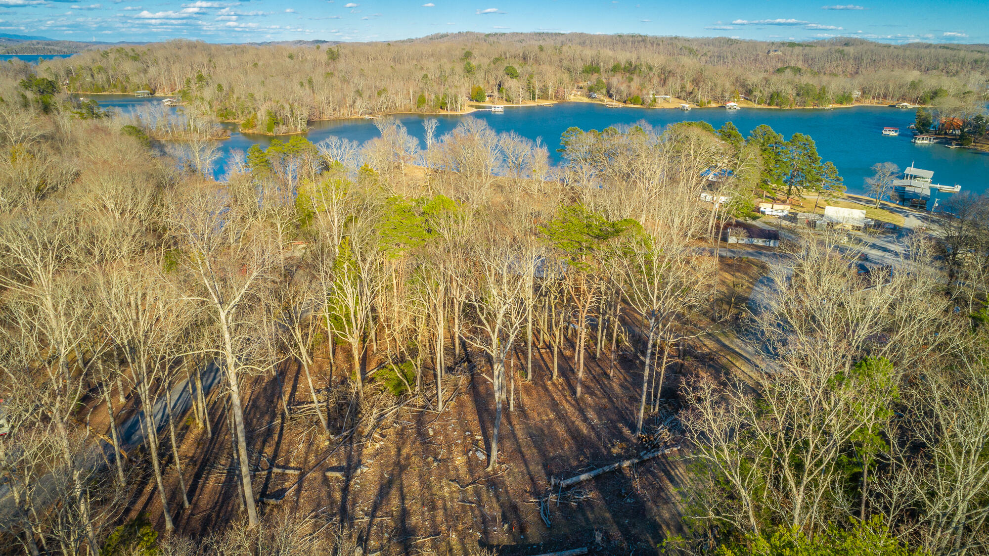 Beach Road #433, Spring City, Tennessee image 10