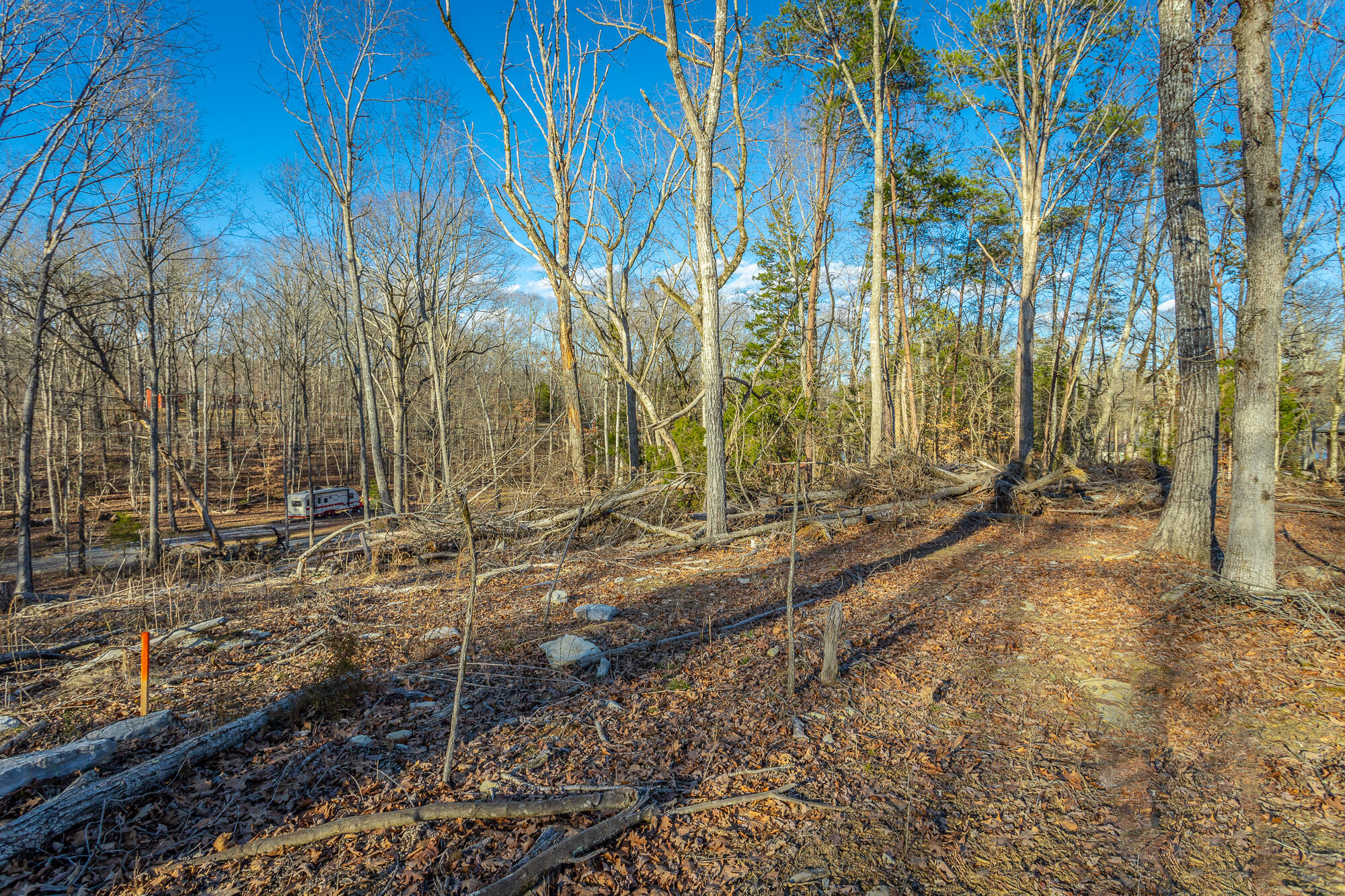 Beach Road #433, Spring City, Tennessee image 38