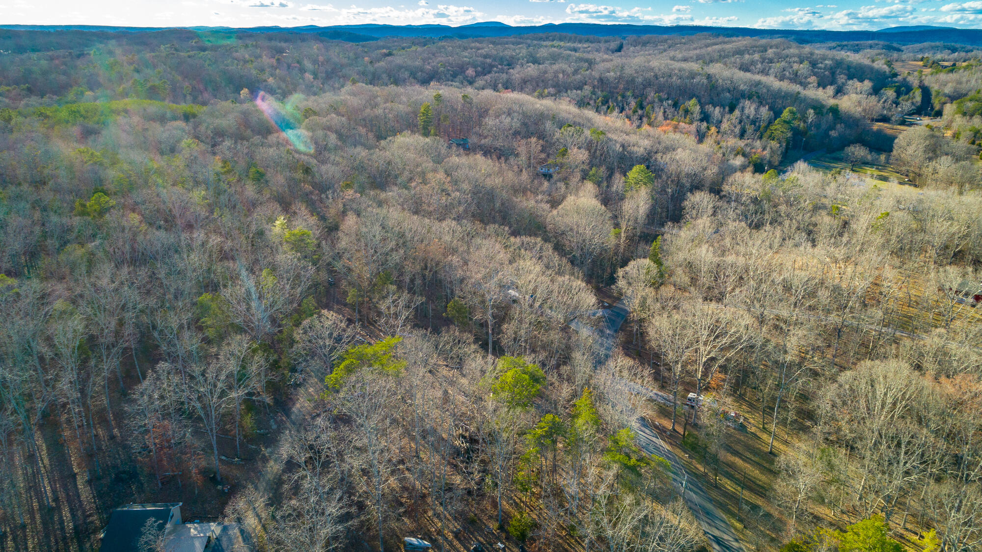 Beach Road #433, Spring City, Tennessee image 14