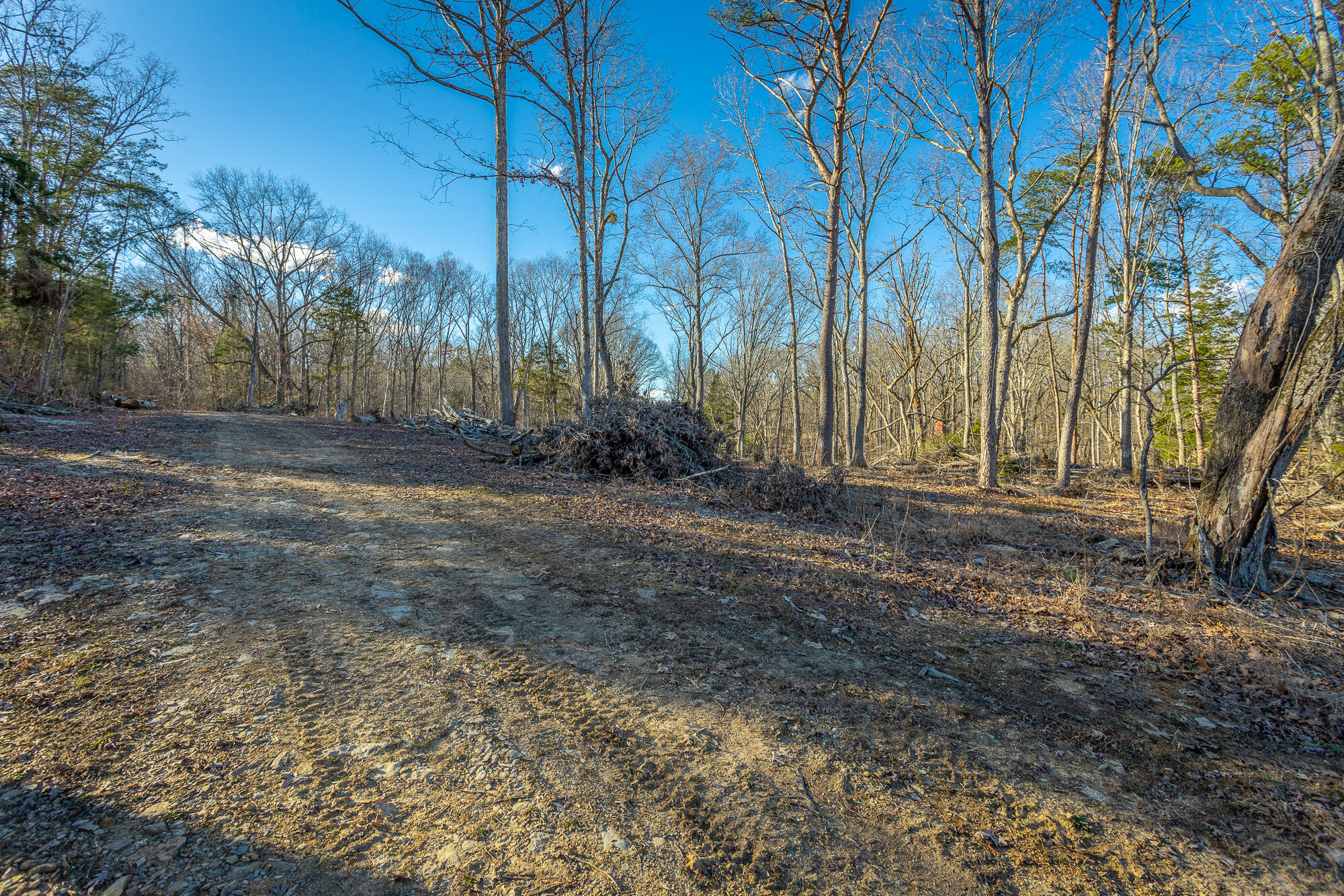 Beach Road #433, Spring City, Tennessee image 30