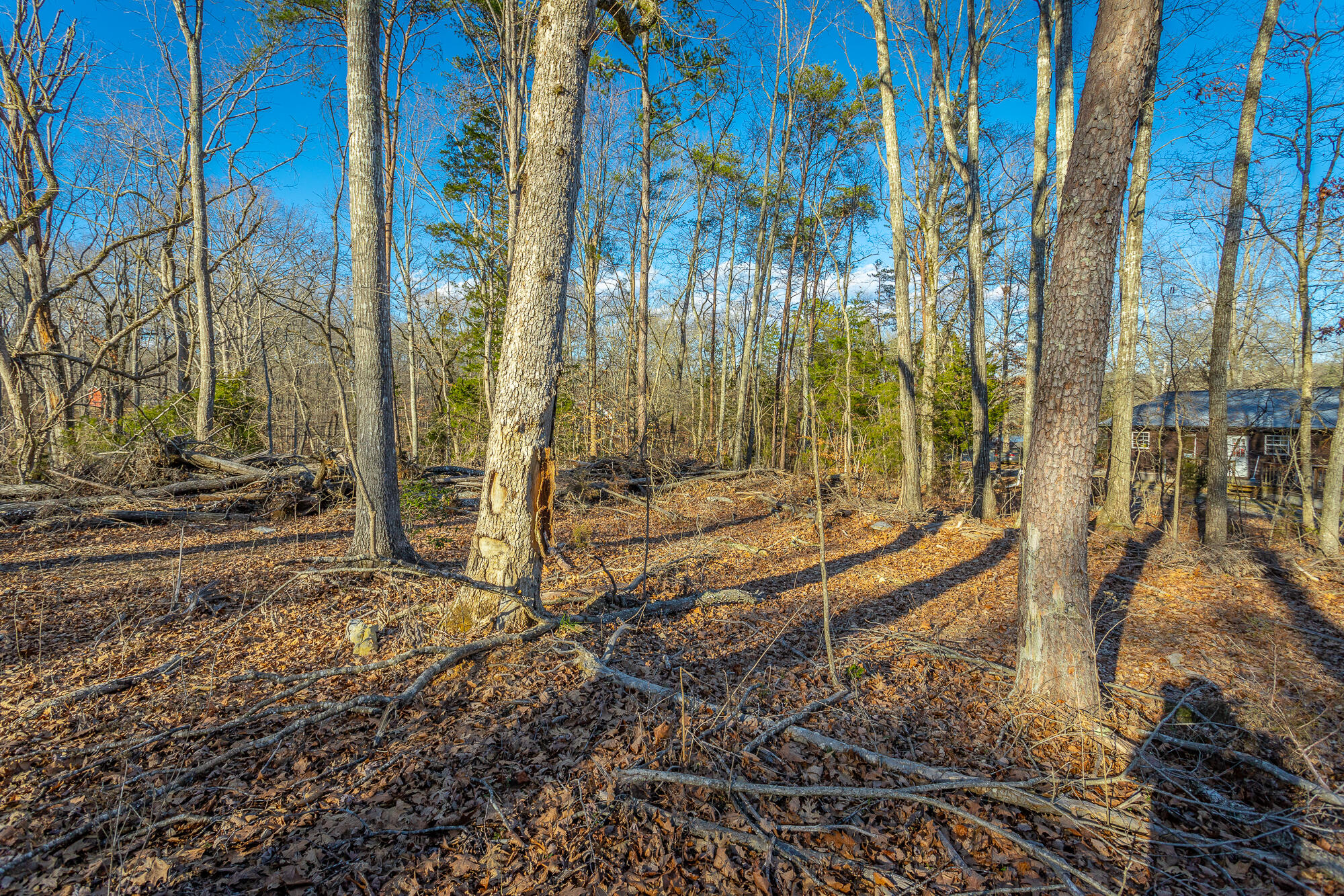 Beach Road #433, Spring City, Tennessee image 40