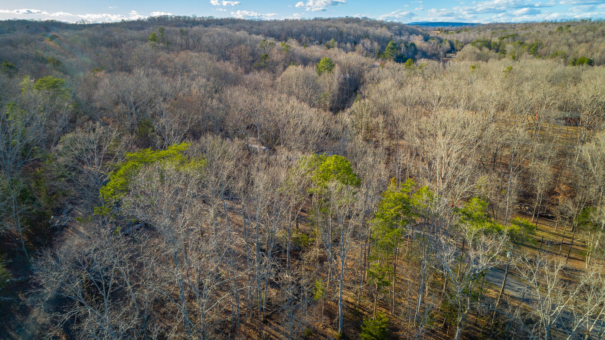 Beach Road #433, Spring City, Tennessee image 4
