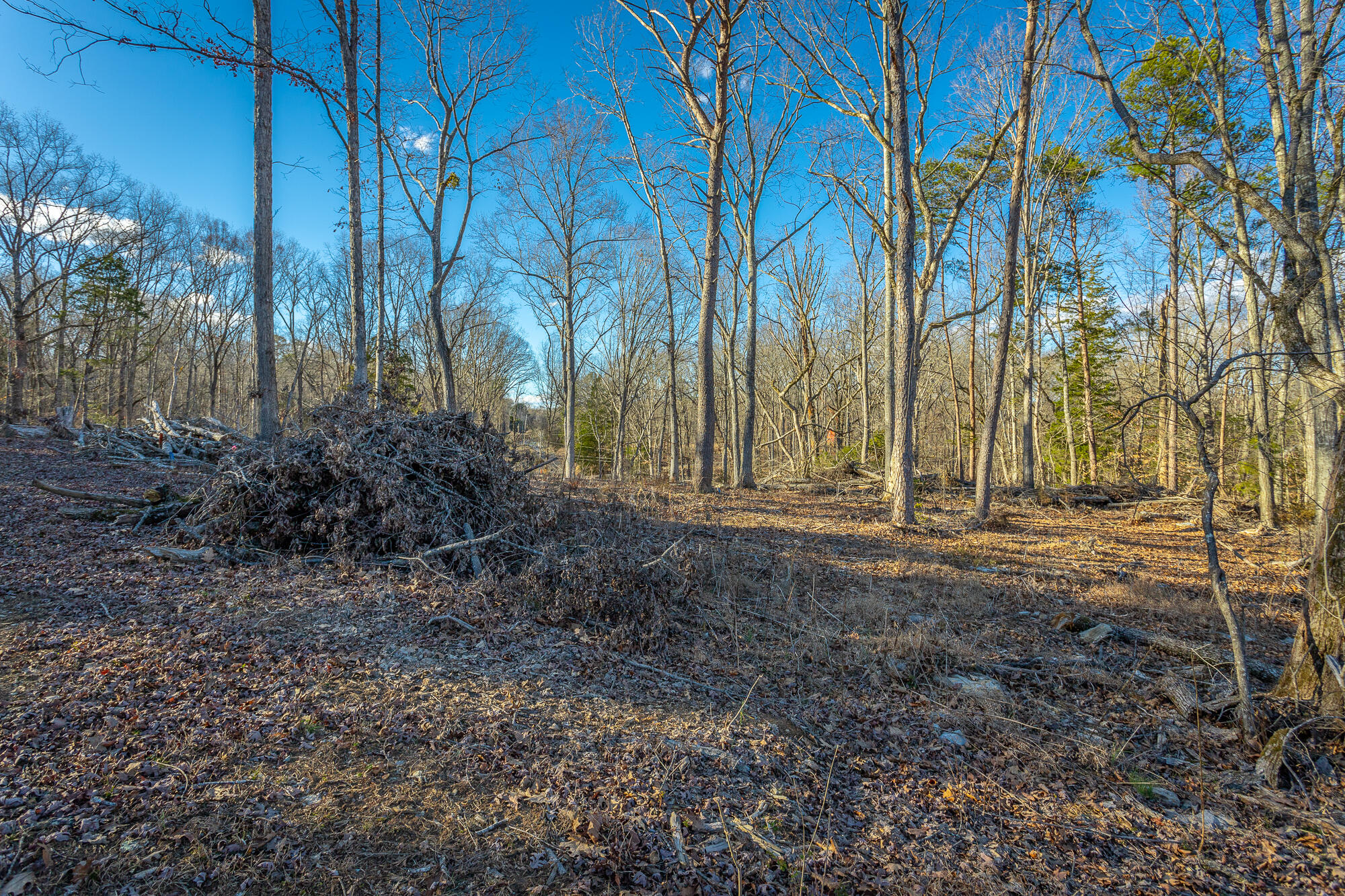 Beach Road #433, Spring City, Tennessee image 31