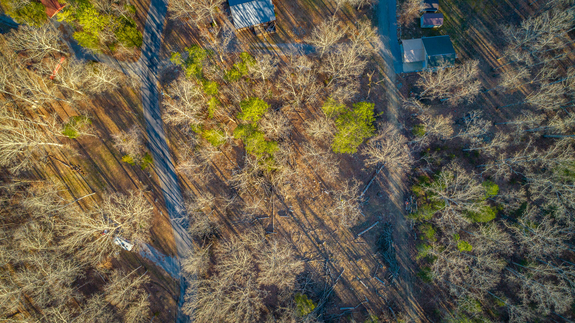 Beach Road #433, Spring City, Tennessee image 27