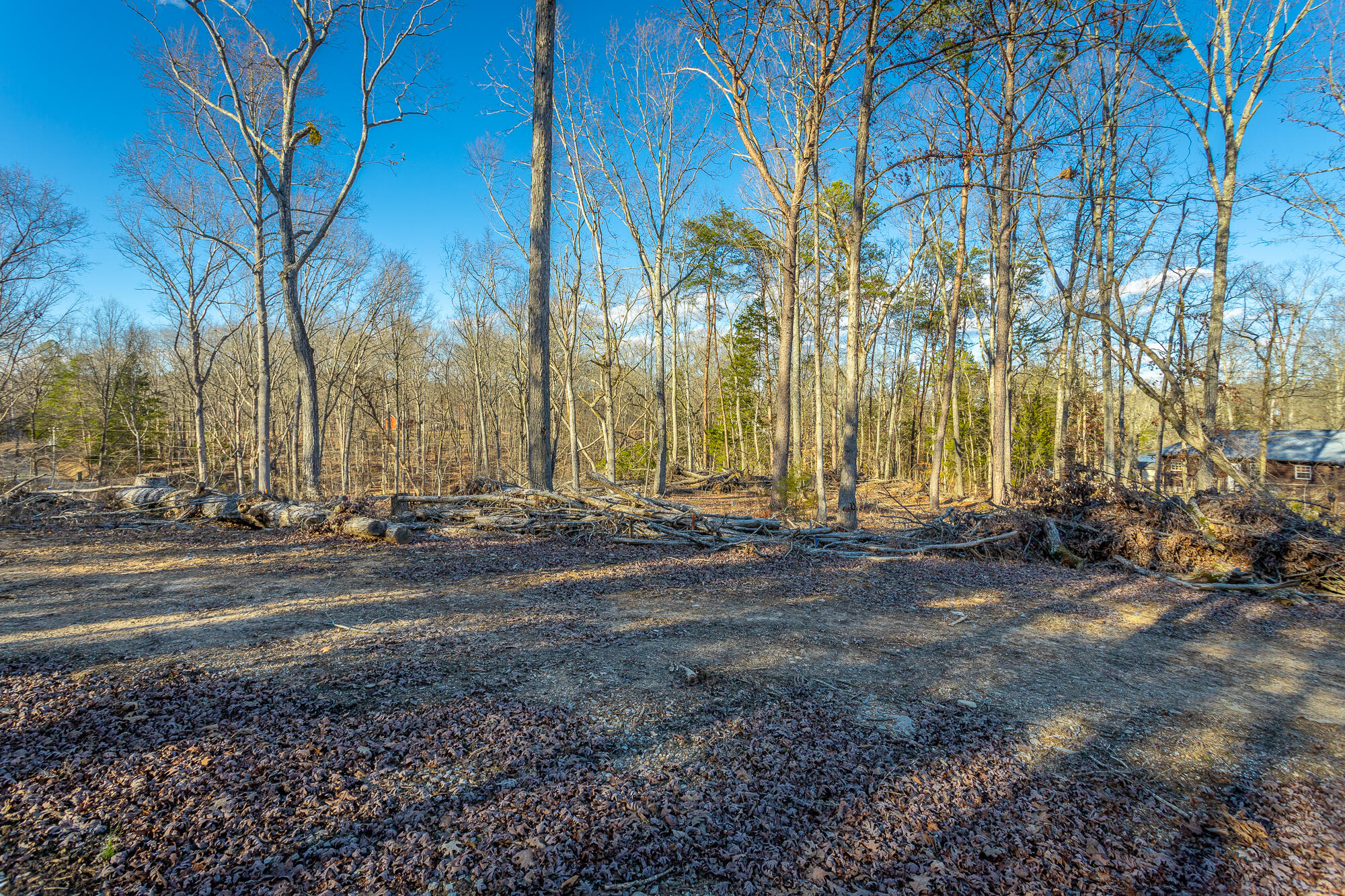 Beach Road #433, Spring City, Tennessee image 32