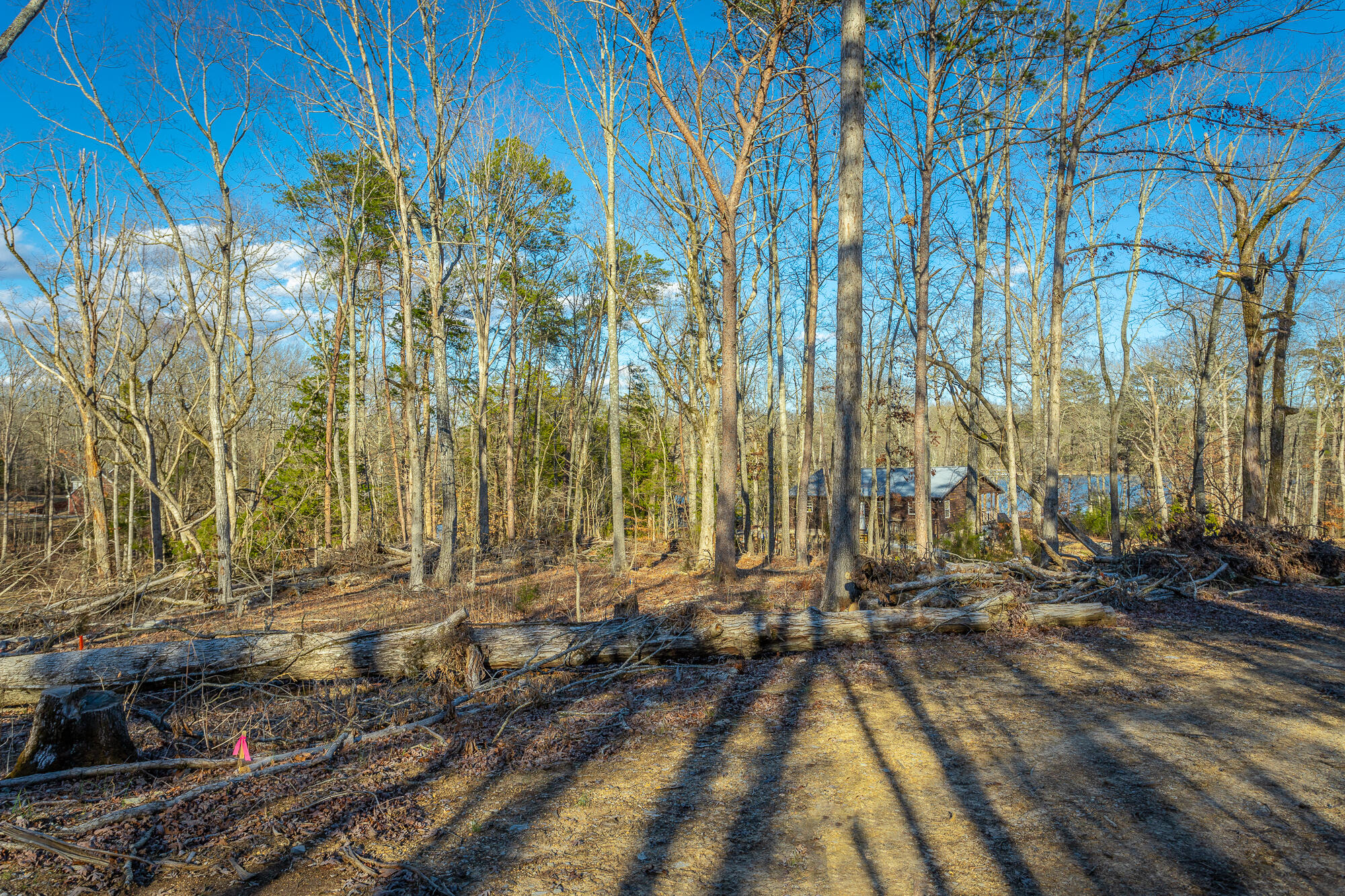 Beach Road #433, Spring City, Tennessee image 35