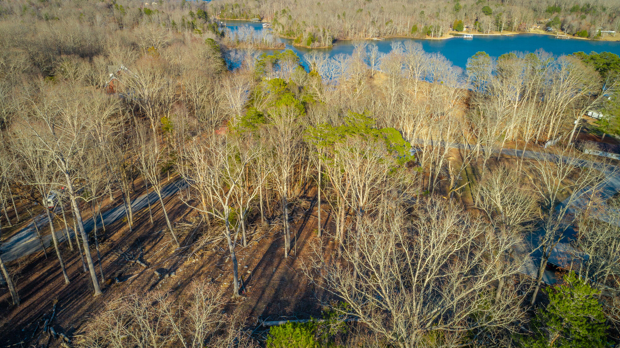 Beach Road #433, Spring City, Tennessee image 11