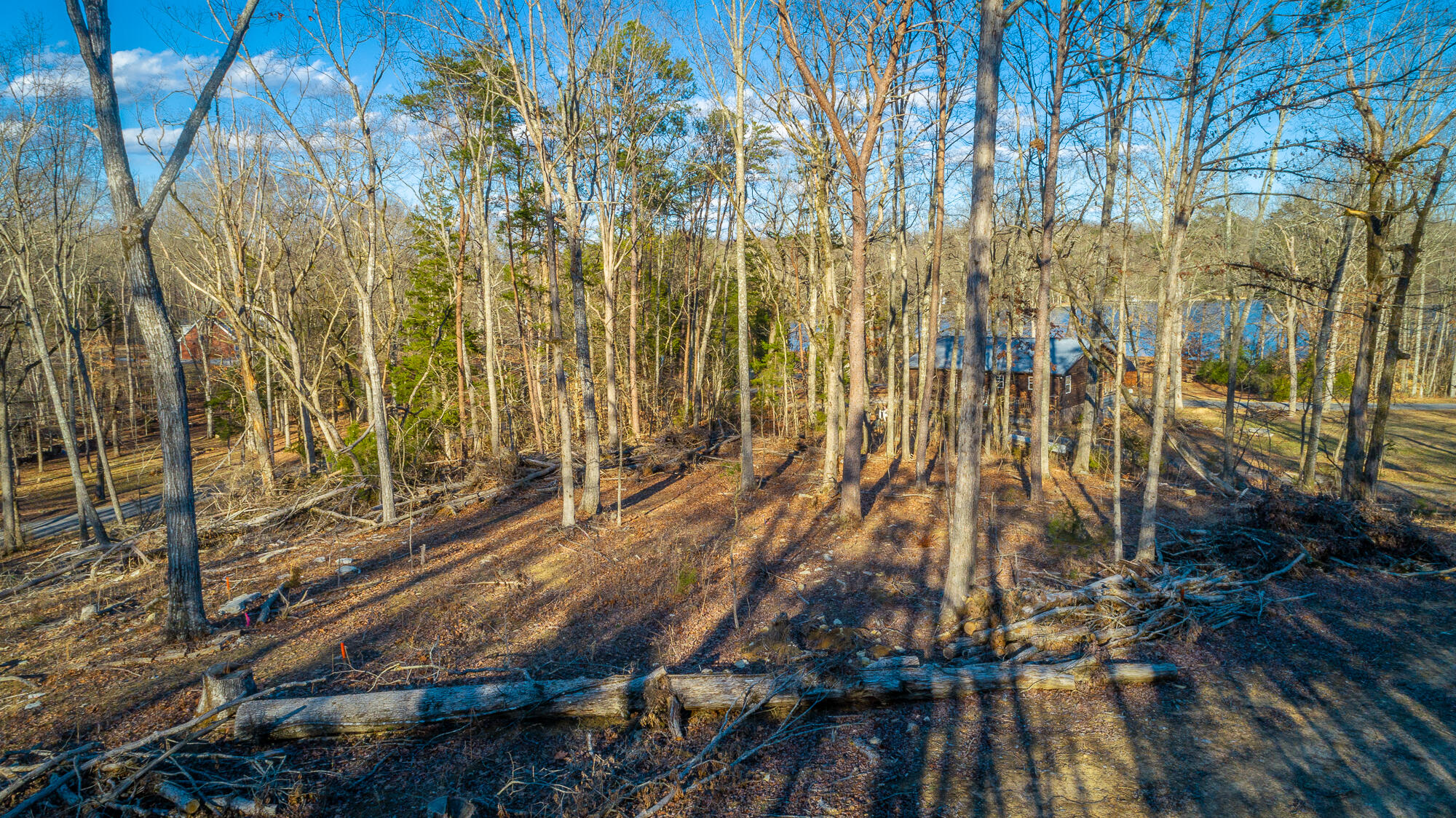 Beach Road #433, Spring City, Tennessee image 1