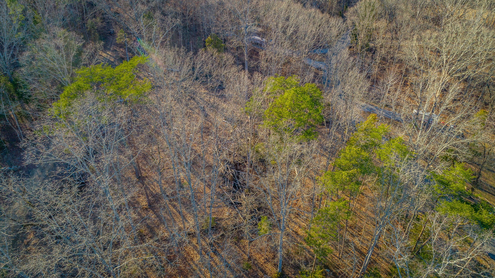 Beach Road #433, Spring City, Tennessee image 6