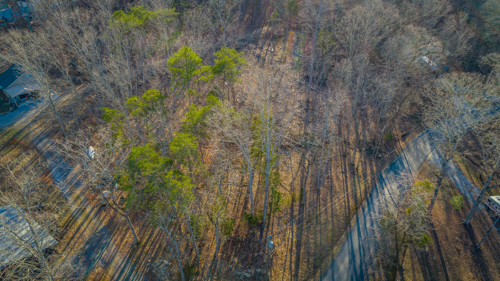 Beach Road #433, Spring City, Tennessee image 7