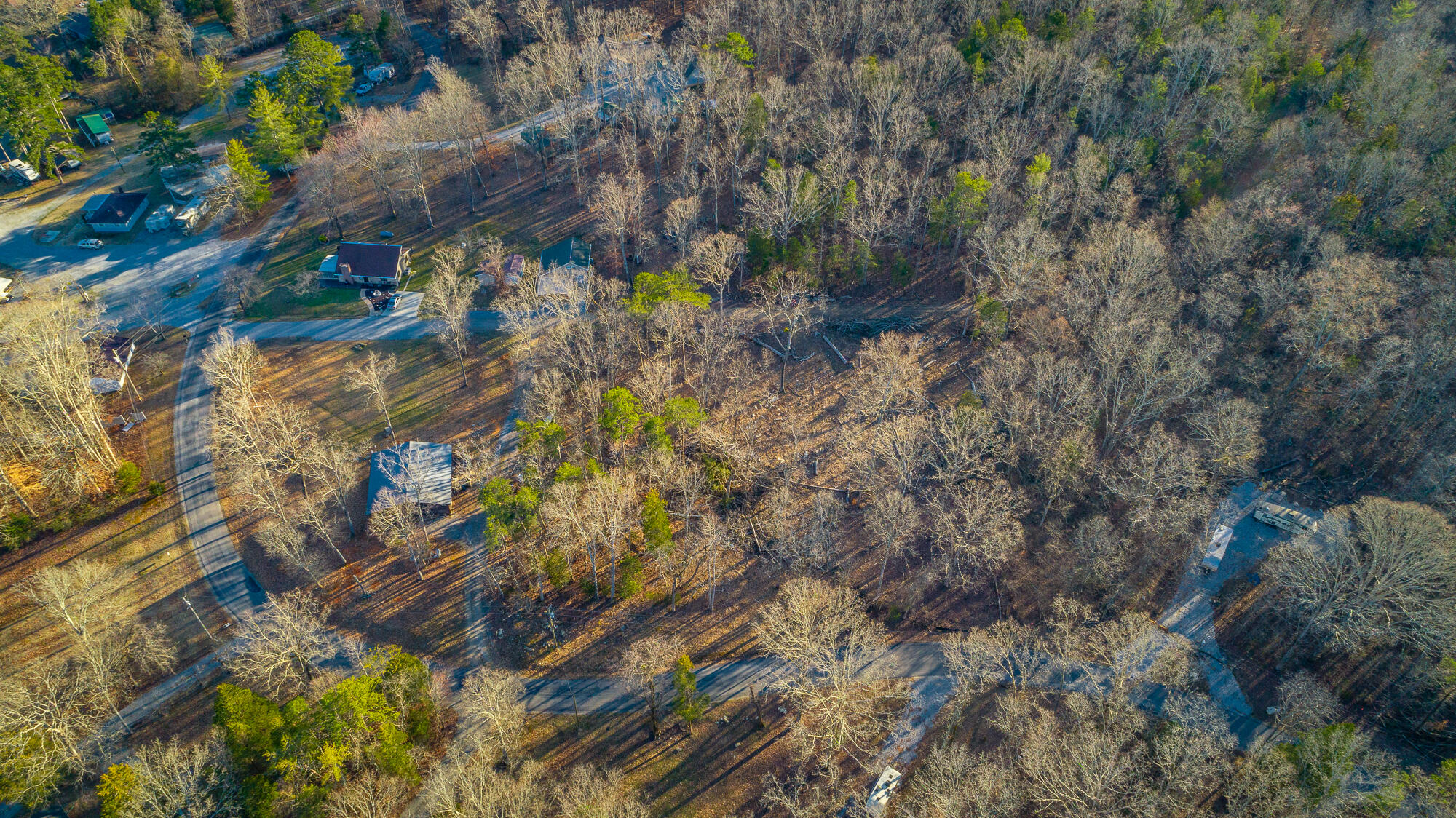 Beach Road #433, Spring City, Tennessee image 24