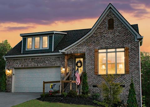 Photo of 7061 Mercedes Lane, Ooltewah, TN 37363 (MLS # 1517882)