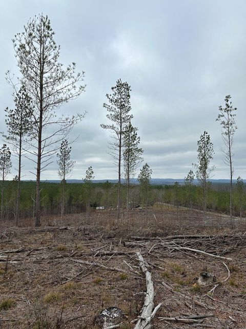 Vacant Land For Sale - TRACT 25 Thomas Springs Road<br/> Cumberland County, Crossville, TN 38572