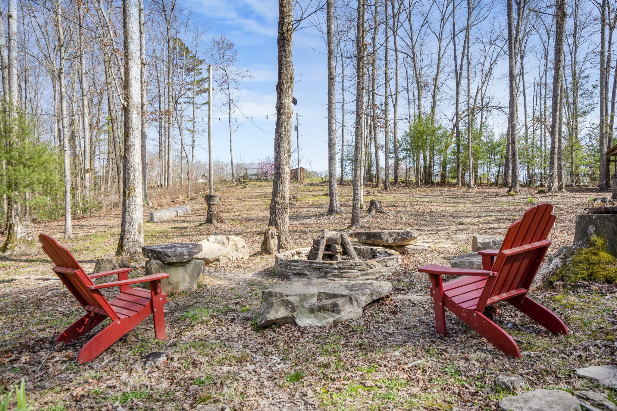 602 Old Grandview Highway, Grandview, Tennessee image 50