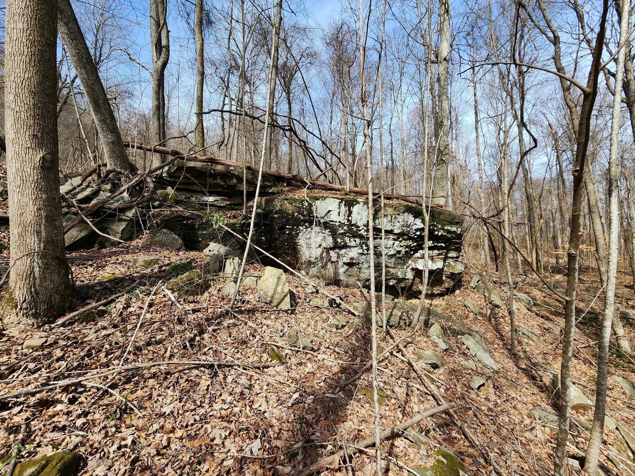 Gap Road, Altamont, Tennessee image 9