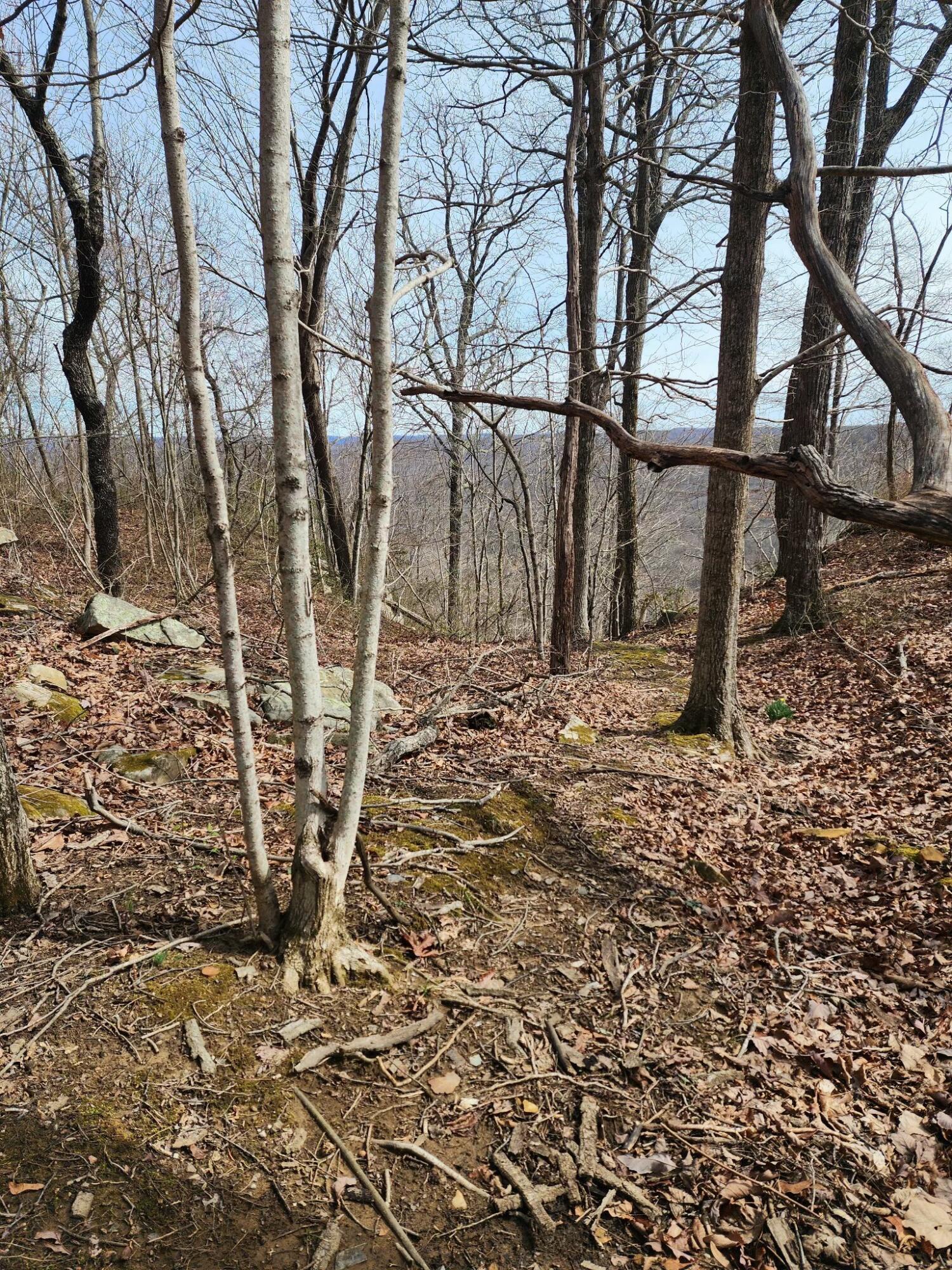 Gap Road, Altamont, Tennessee image 11