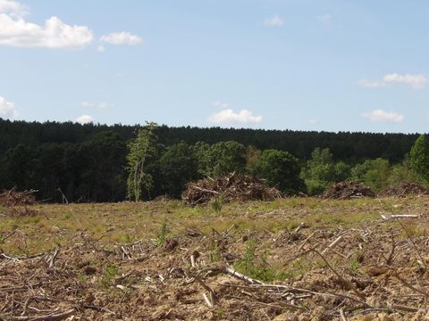 Vacant Land For Sale - LOT 15 Summer City Road<br/> Evensville, TN 37332