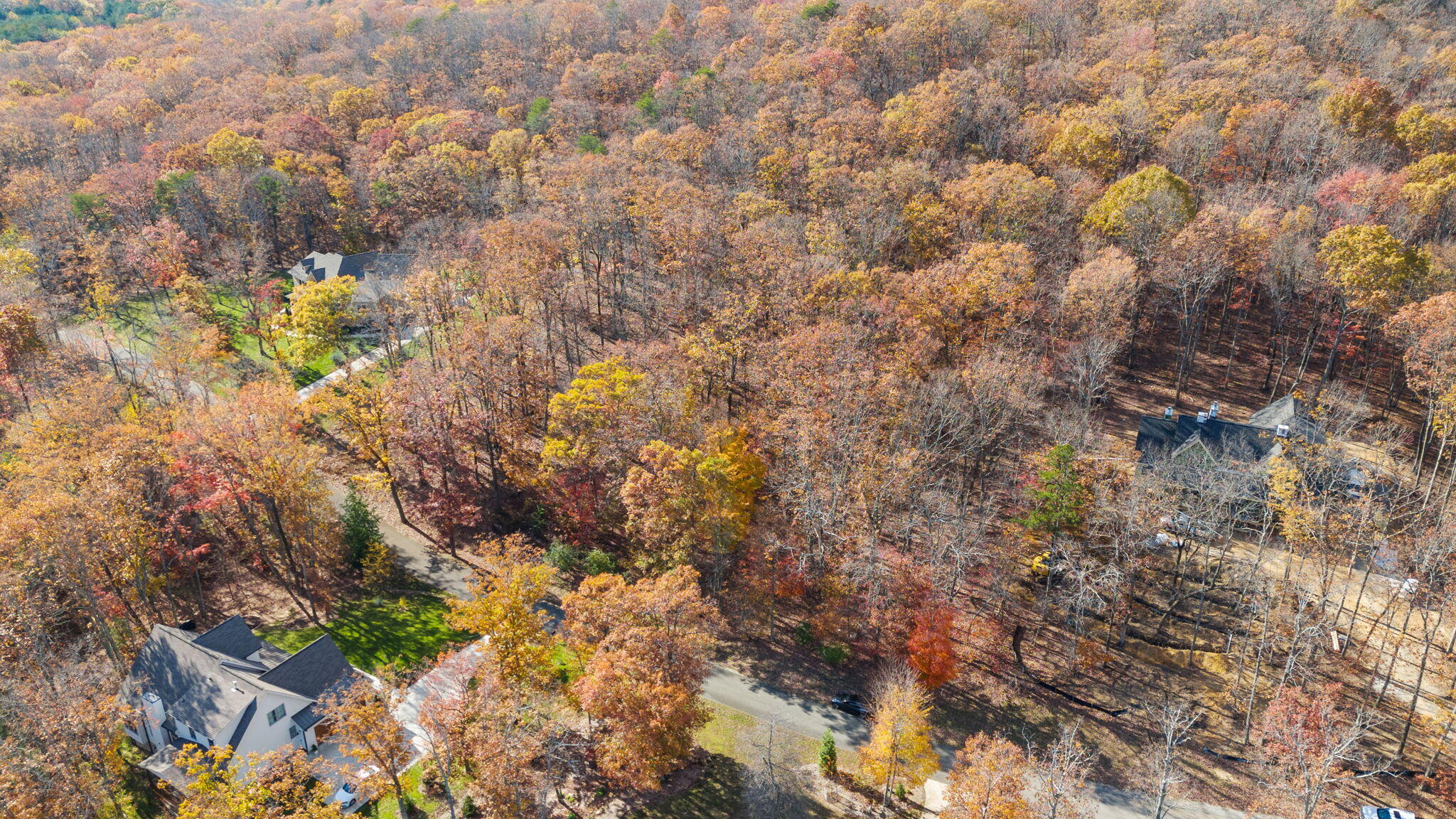 594 Lookout Crest Lane, Lookout Mountain, Georgia image 10