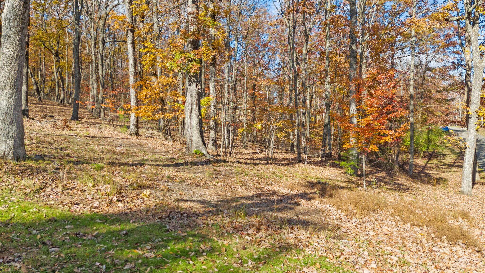 594 Lookout Crest Lane, Lookout Mountain, Georgia image 6