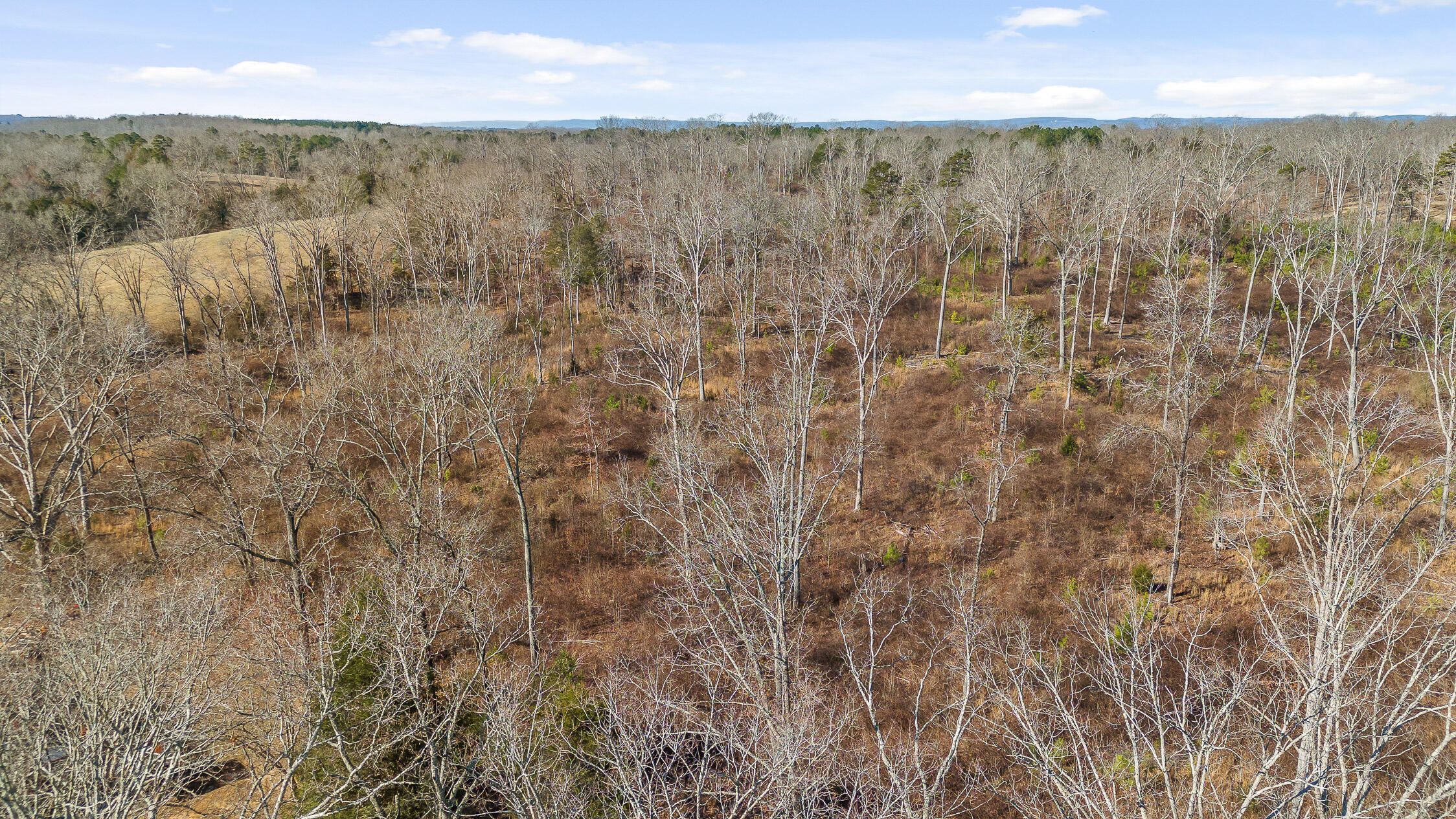 14641 Baker Road, Birchwood, Tennessee image 46
