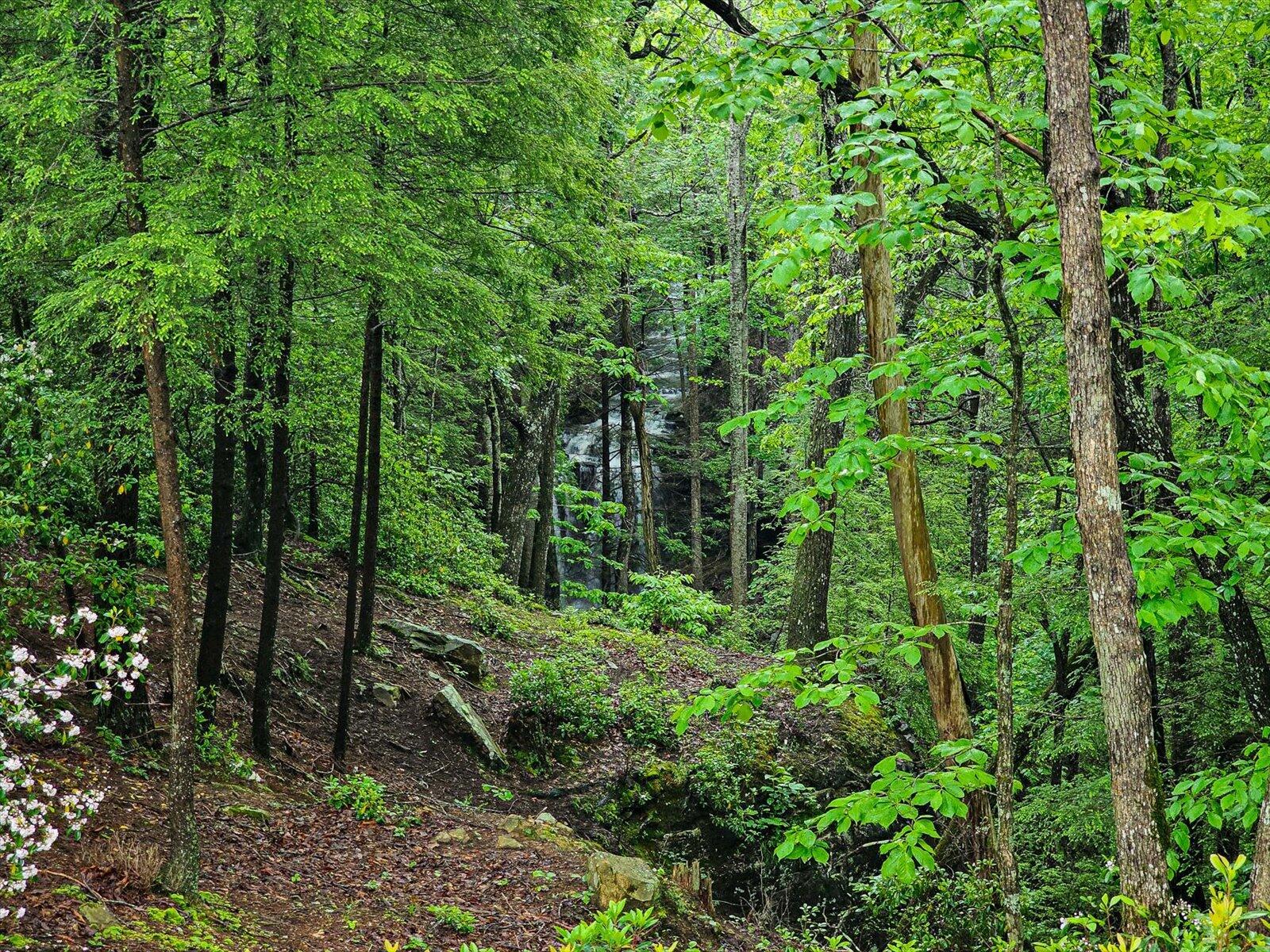 110 Falls Lane, Spencer, Tennessee image 16