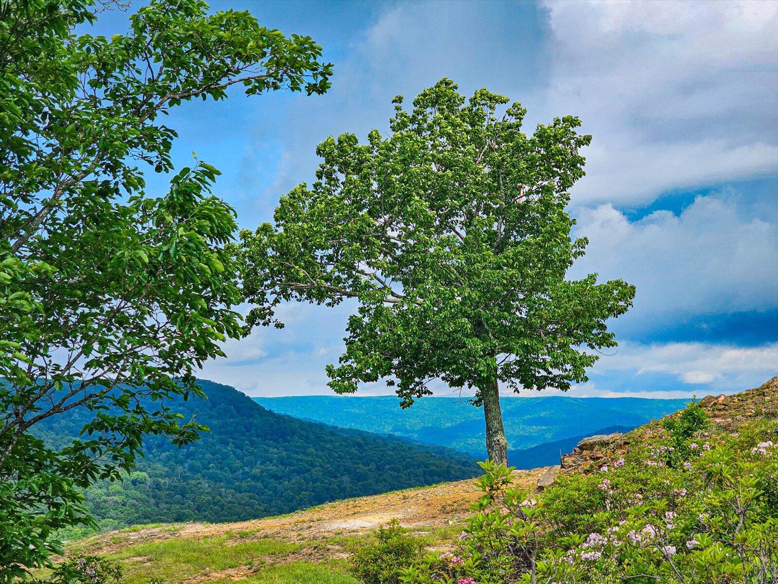 110 Falls Lane, Spencer, Tennessee image 22