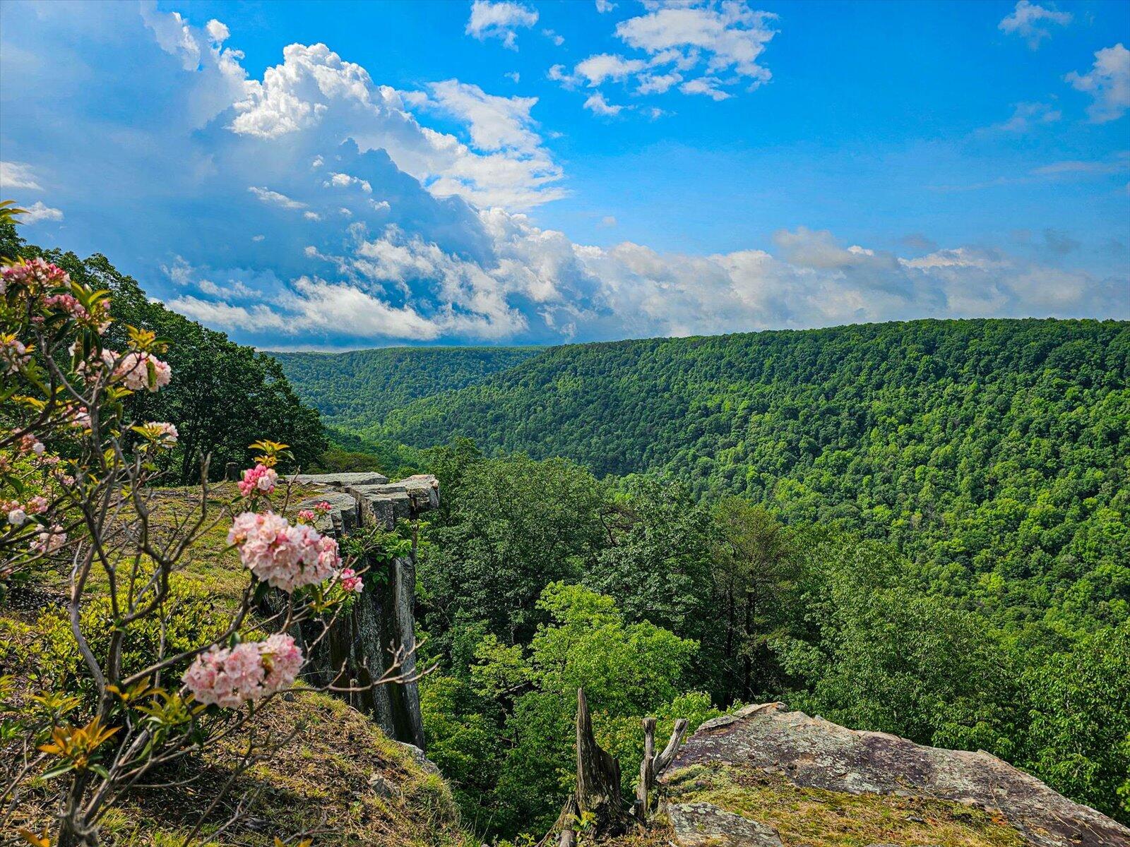 110 Falls Lane, Spencer, Tennessee image 1