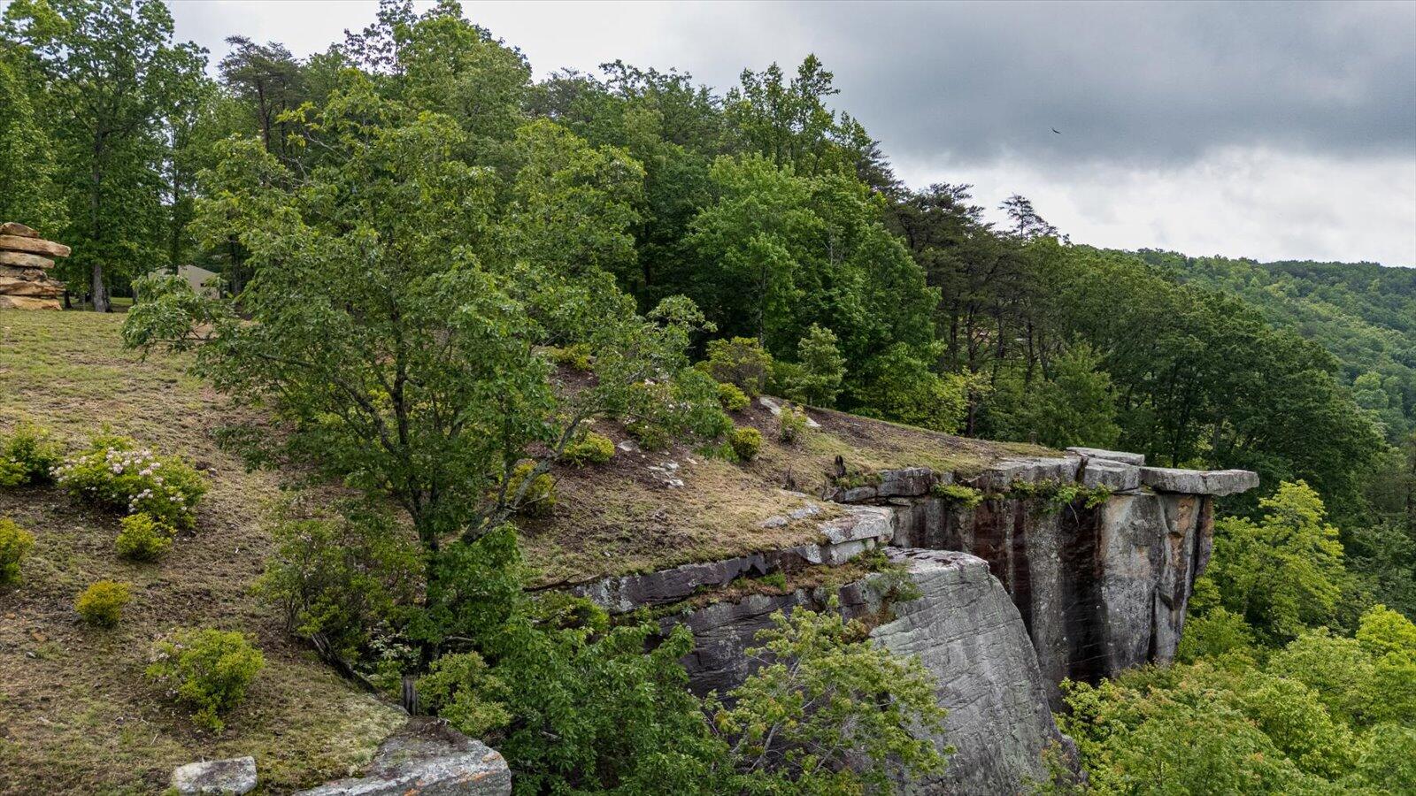 110 Falls Lane, Spencer, Tennessee image 44
