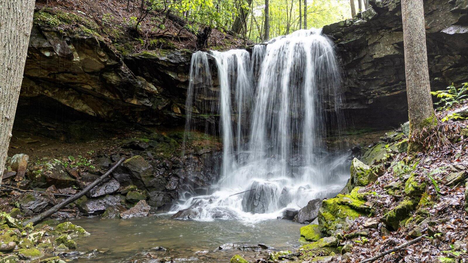 110 Falls Lane, Spencer, Tennessee image 35