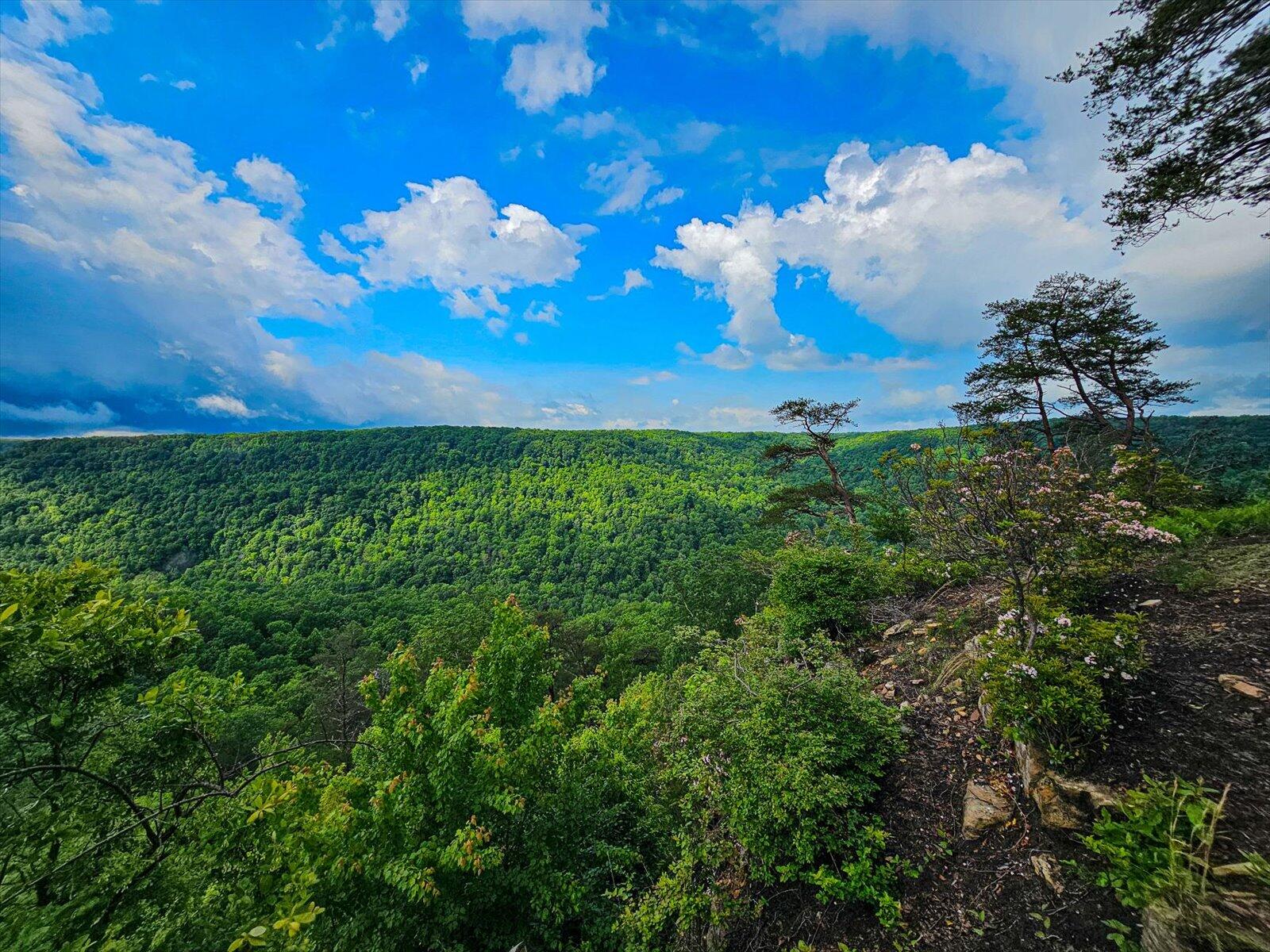 110 Falls Lane, Spencer, Tennessee image 20