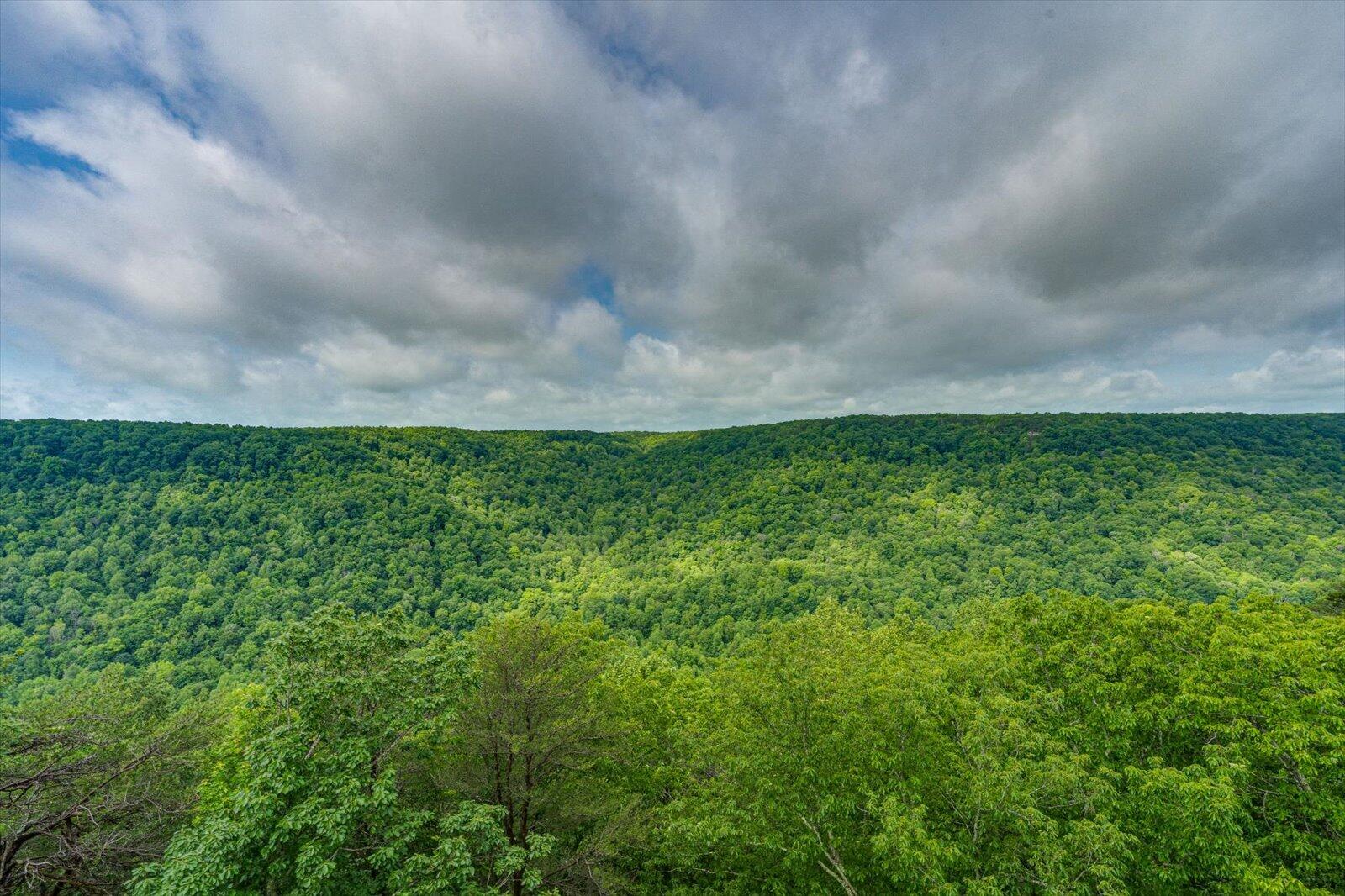 110 Falls Lane, Spencer, Tennessee image 28