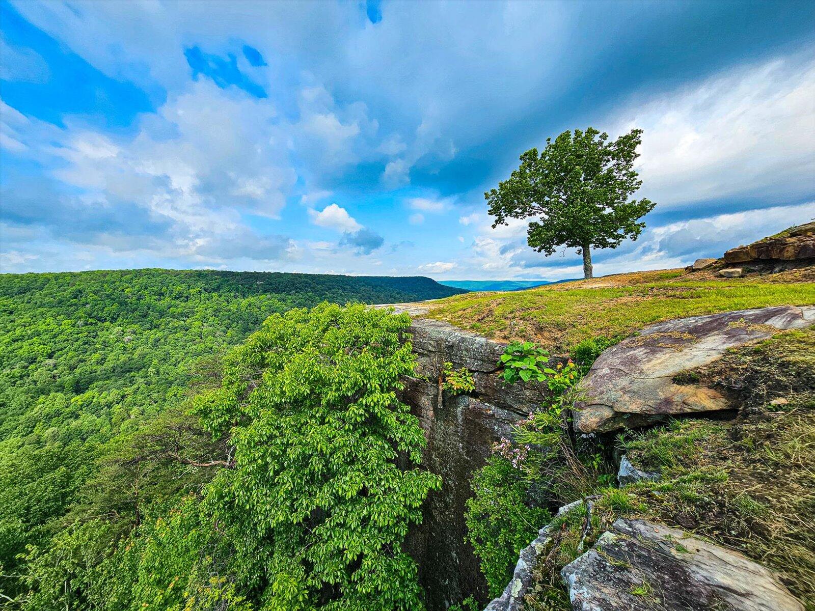 110 Falls Lane, Spencer, Tennessee image 3