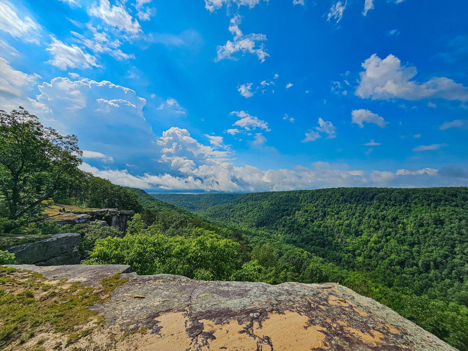 110 Falls Lane, Spencer, Tennessee image 25