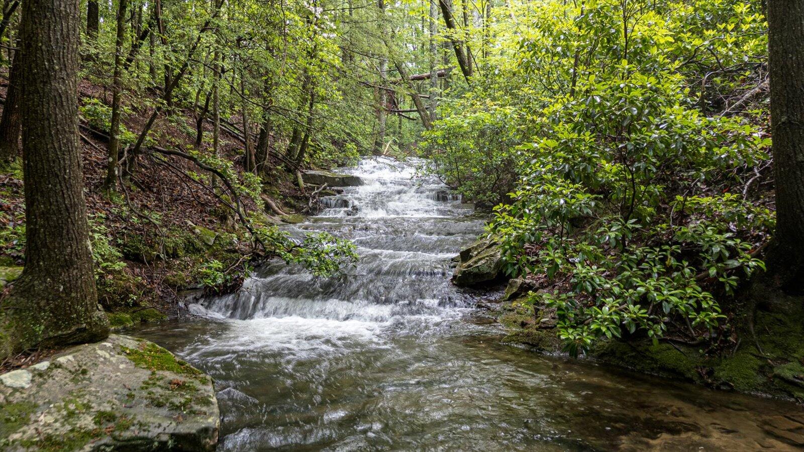110 Falls Lane, Spencer, Tennessee image 34