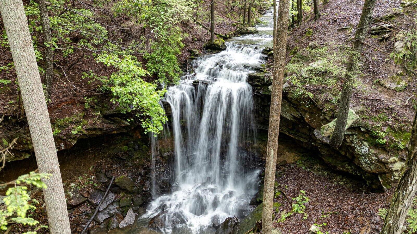 110 Falls Lane, Spencer, Tennessee image 31