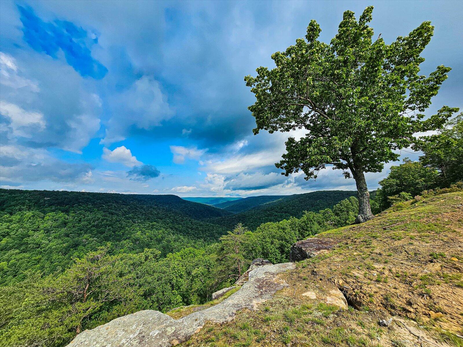 110 Falls Lane, Spencer, Tennessee image 24