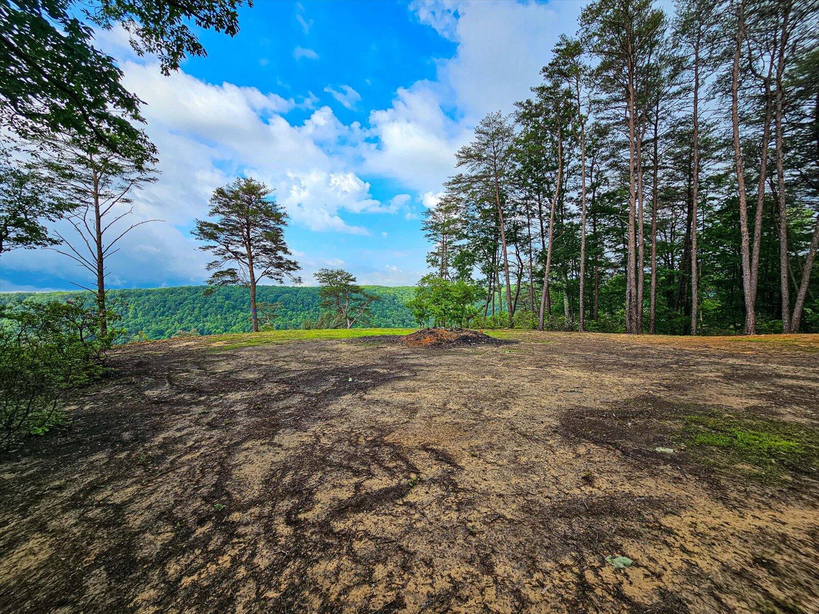 110 Falls Lane, Spencer, Tennessee image 18