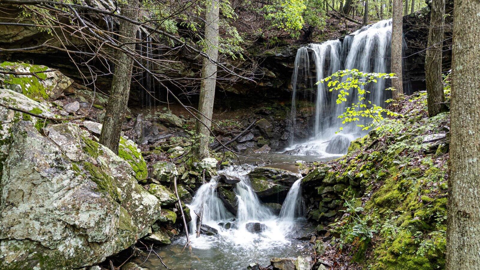 110 Falls Lane, Spencer, Tennessee image 36