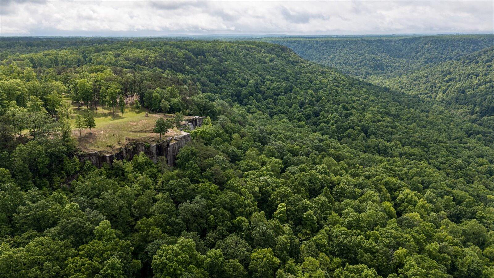 110 Falls Lane, Spencer, Tennessee image 49