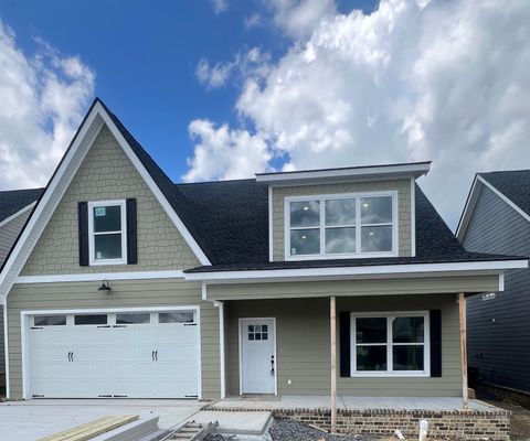 538 Willow Grove Court 56 Ringgold GA 30736