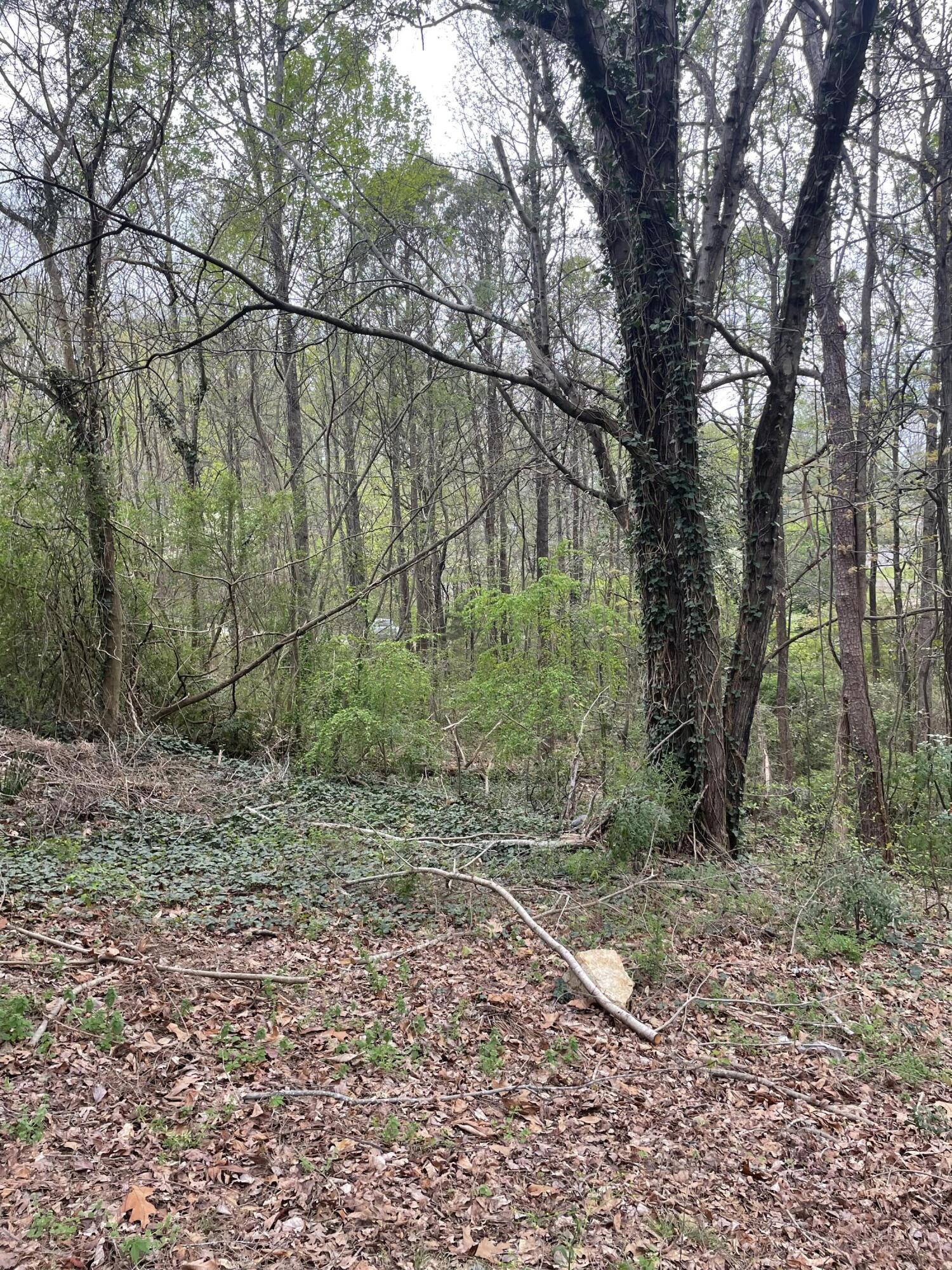 129 B Gateway Lane, Rossville, Georgia image 3