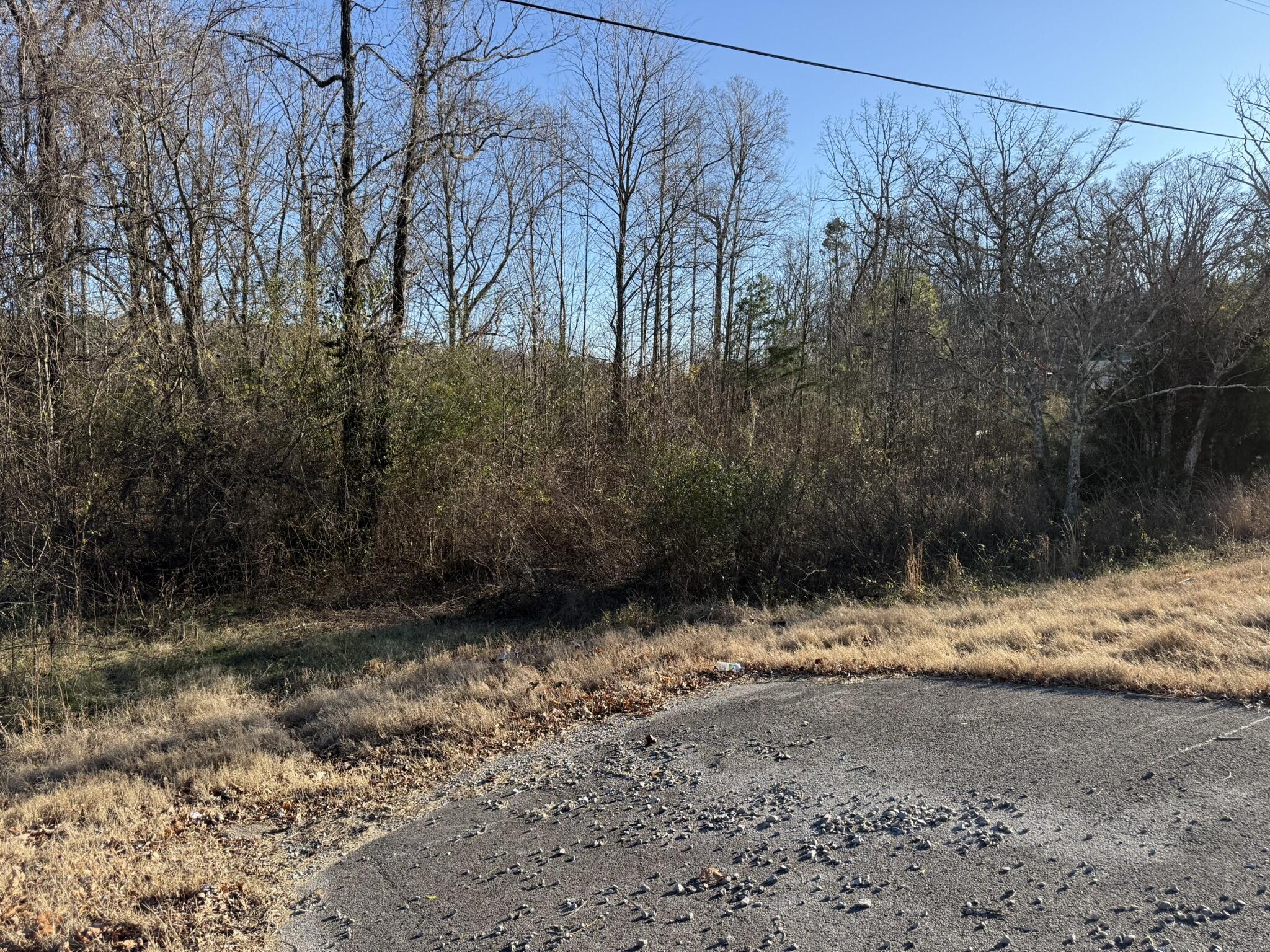 7700 Highway 73, Bryant, Alabama image 5