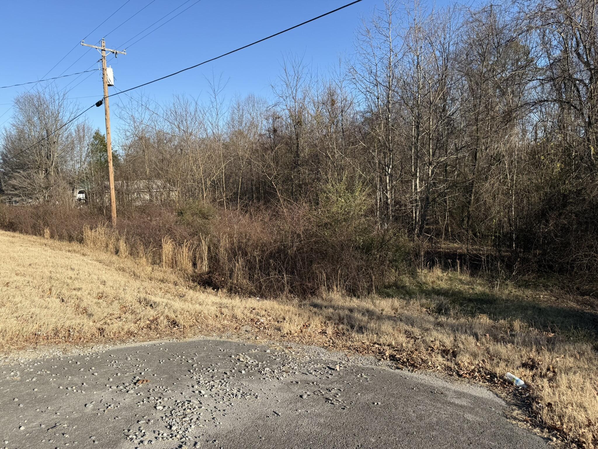 7700 Highway 73, Bryant, Alabama image 7