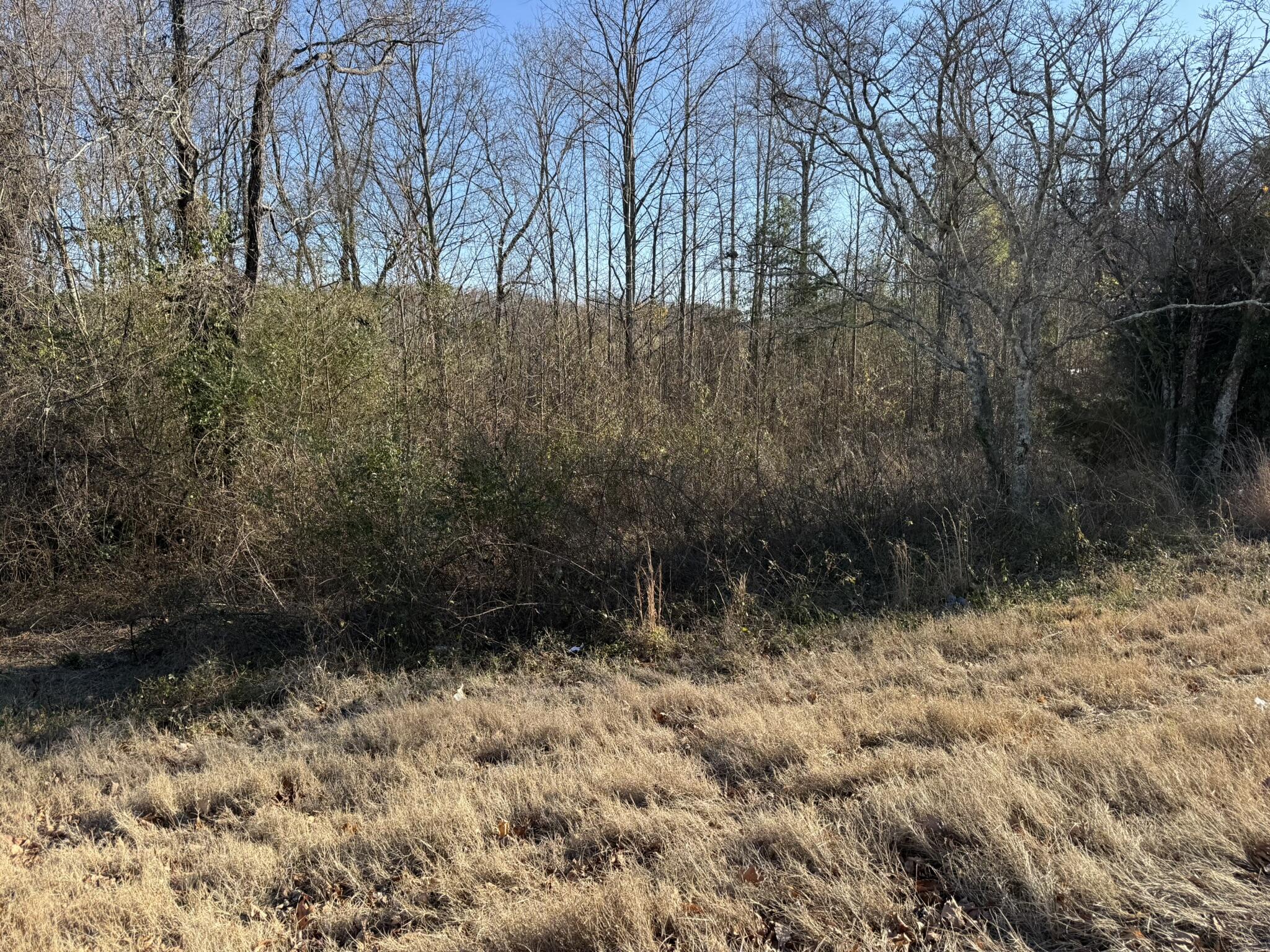 7700 Highway 73, Bryant, Alabama image 1