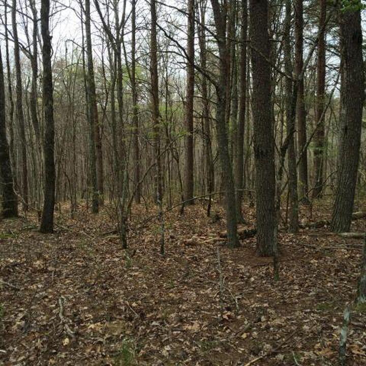Windridge Drive #LOT 25, Dunlap, Tennessee image 9