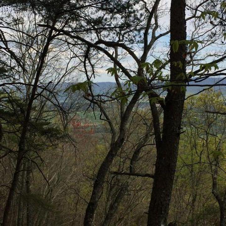Windridge Drive #LOT 25, Dunlap, Tennessee image 2