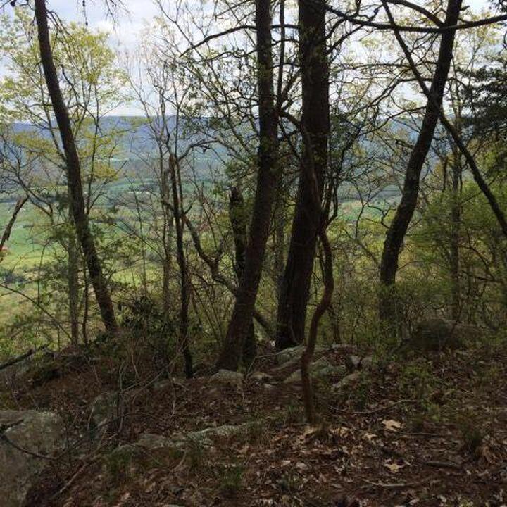 Windridge Drive #LOT 25, Dunlap, Tennessee image 5